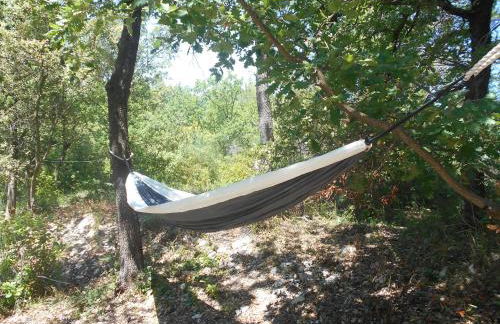 Chantegarrigue - Foto 25