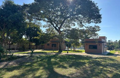 Chácara Ecológica e Sustentável - Photo 26