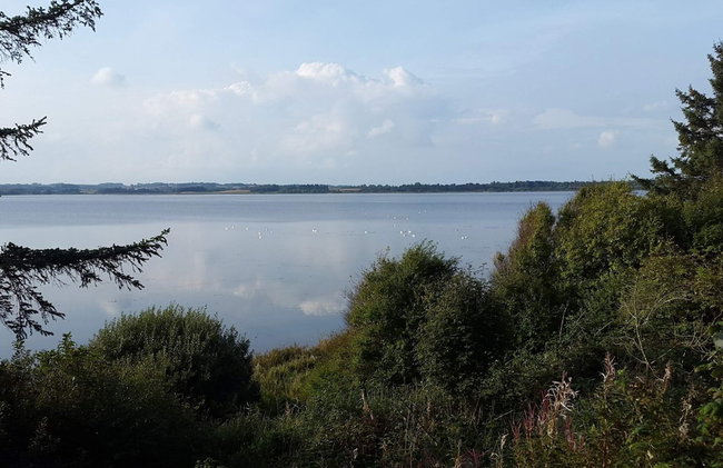 Holiday Home in Skals - Photo 37