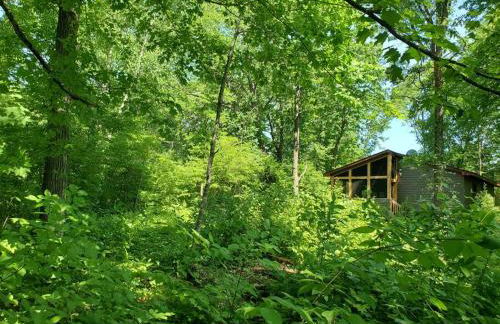 Wilderness Meadows - Foto 24