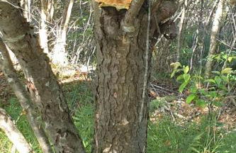 Holiday Home Pinto Béla by Interhome - Photo 38