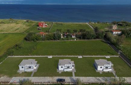 Alexandra's Place - Photo 1