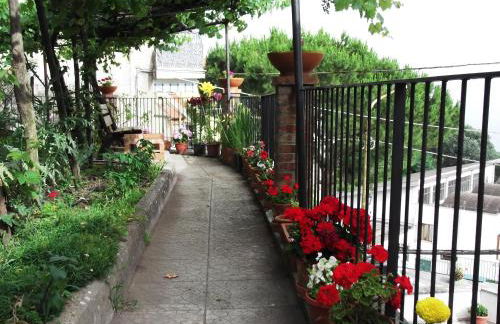 Le Mimose - Photo 18