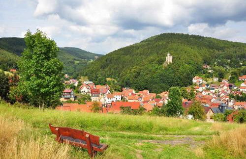 Wohnung Steinbach nahe Skihalle Oberhof, cleaning included - Foto 48
