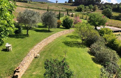 Mas de Gastyne - Foto 3