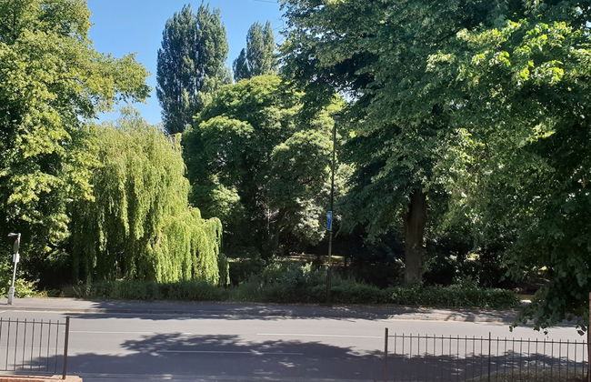 Riverbank View - Photo 18