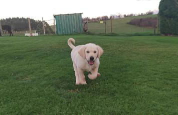 Apartamentos rurales Casa Do Cabo - Foto 75