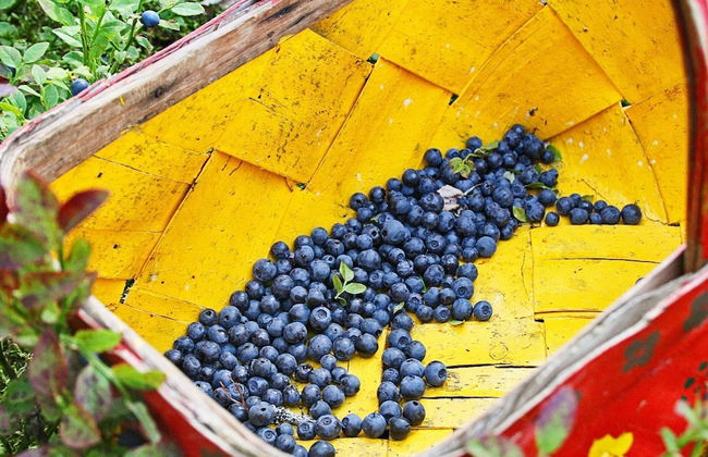 8 Person Holiday Home in Burea-by Traum - Foto 7