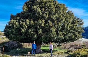 Cabaña en plena naturaleza Parque Natural Río Mundo - Foto 32