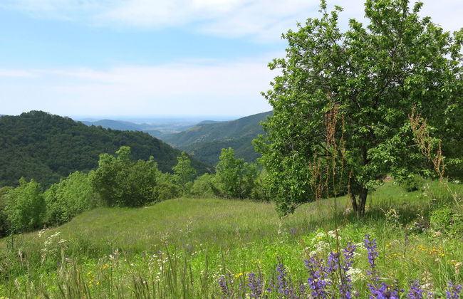 Casa Amica - Foto 31