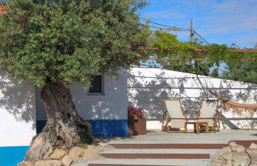 São Brás do Regedouro - Turismo na Aldeia - Foto 33