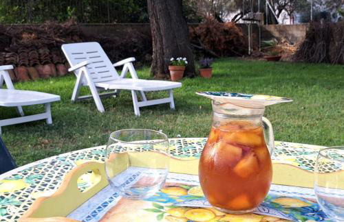 L'oasi - Monolocale con giardino in Sardegna - Foto 2