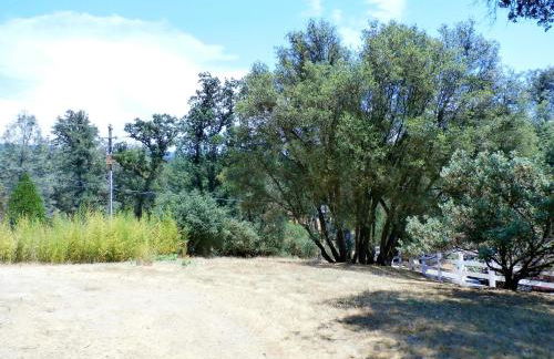 NEW CHARMING 2 BEDROOMS UNIT CLOSE TO EVERYTHING - Foto 23