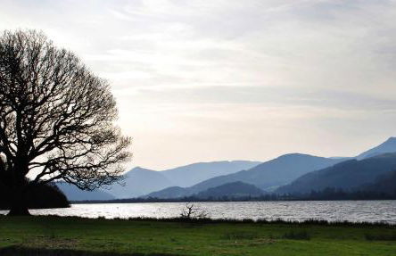 Ravenstone Lodge Country House Hotel - Foto 16