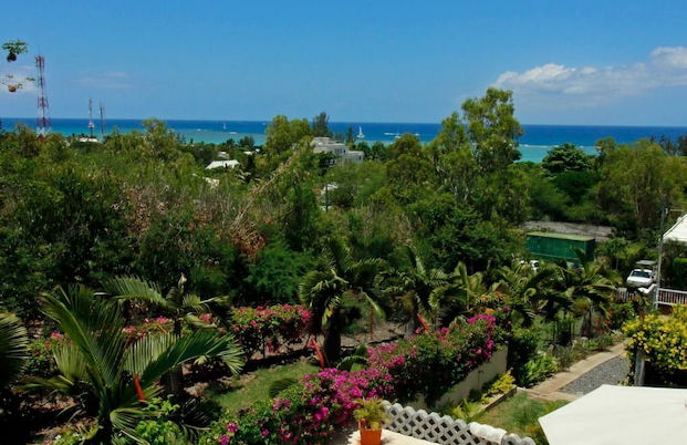 Black River Villa Turquoise 3bdr, sea View - Photo 30