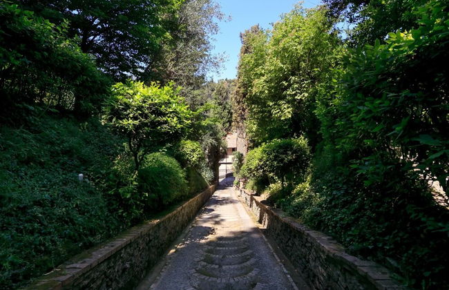 Rocca di Cetona - a Medieval Castle - Foto 22