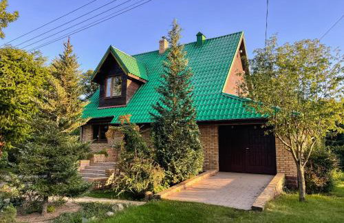 Rzeka i las - Photo 56