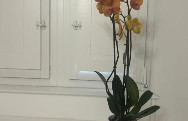 Vsuite livingchic - Foto 14