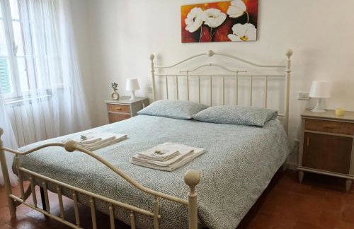 The Voltina - Foto 21