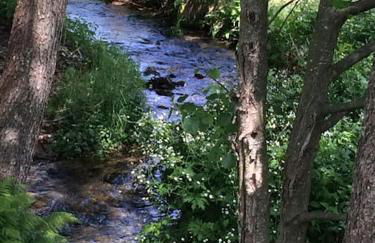 Ferienwohnung Anita - Foto 51