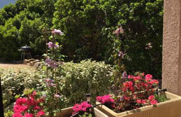 Roc A Mare - Foto 59