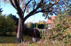 Pokoje gościnne Słoneczny Klon Dąbrówno - Foto 25