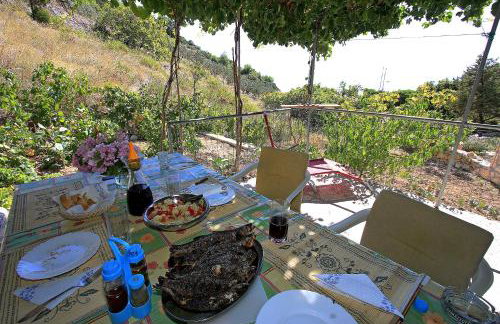 Secluded fisherman's cottage Cove Velo Zvirje, Brac - 11034 - Photo 15