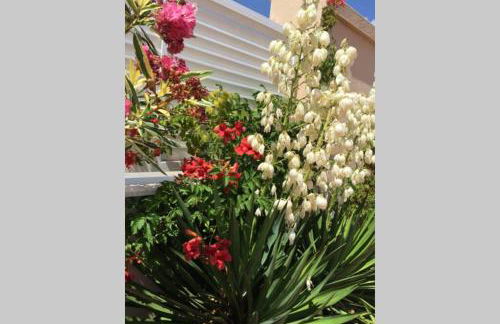 Muy cerca de la playa Gran piscina wifi gratis Port Aventura - Foto 64