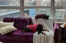 Stay Like A Boss- Penthouse-Views- Convention Center- Free Parking - Foto 6