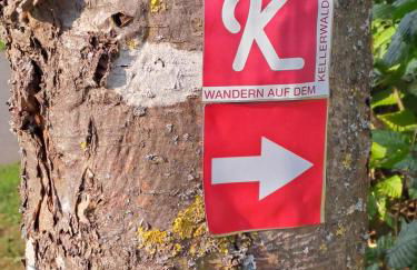 Ferienwohnung Schäfer am Nationalpark Kellerwald - Foto 16