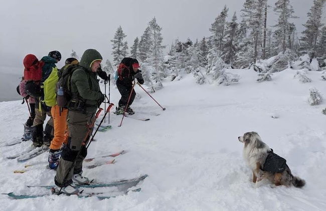 Le Ski Shack - Foto 33