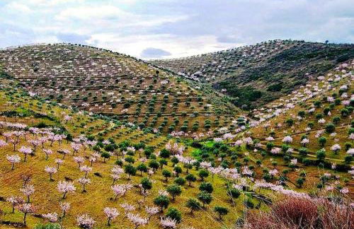 Refugio Transmontano - Foto 30