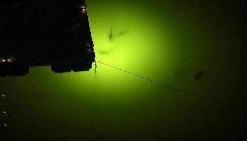 Paradise Key - Foto 4