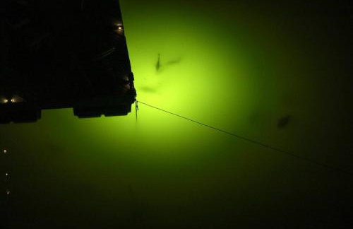 Paradise Key - Foto 4