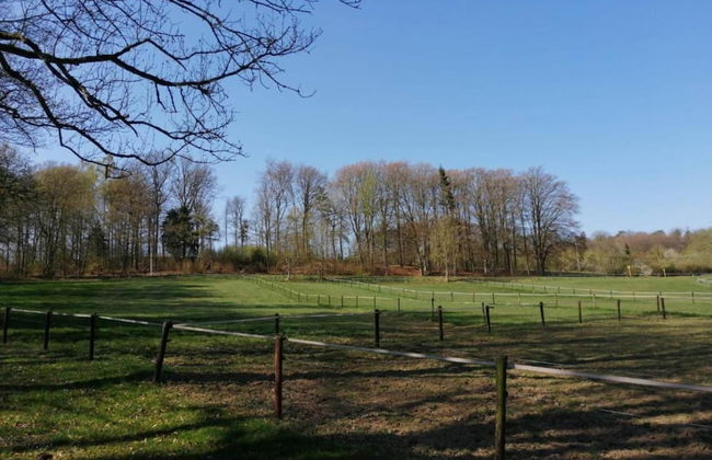 A Chalet for Re-energising in Peace, not far From Durbuy - Photo 28