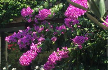 Le Clos Martin - Foto 10