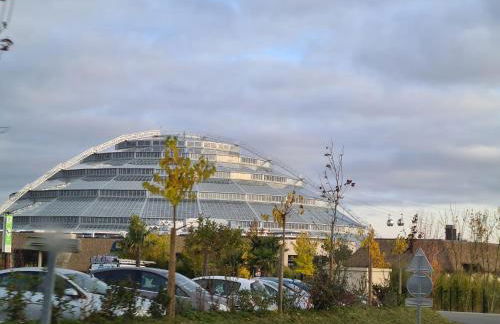 Domaine des Aulnaies - Beauval - Mareuil sur Cher - Foto 55