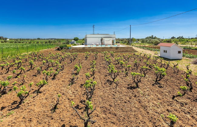 2340 Villa Il Neto by Perle di Puglia - Foto 31