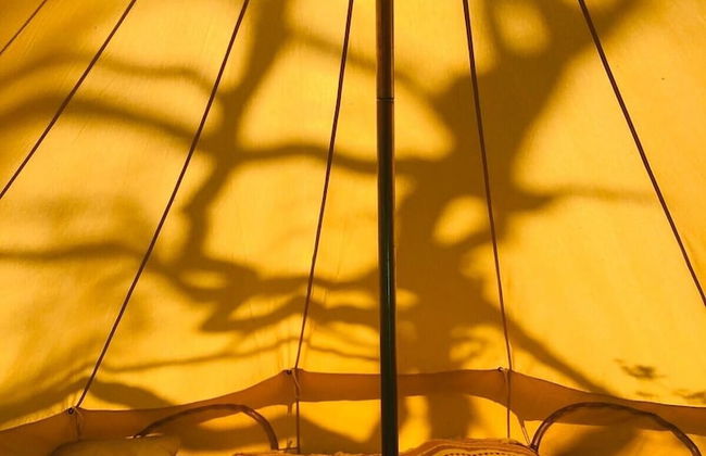 Bell Tent , Carreglwyd Estate, Anglesey - Photo 4