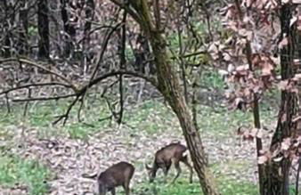 Da Simone podere santi Lucia e Pietro - Foto 24