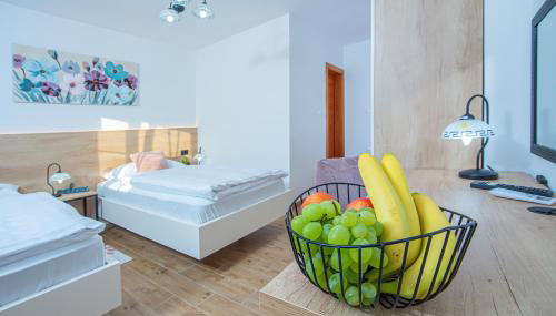 Apartment & rooms Vila Toplissa - Foto 2