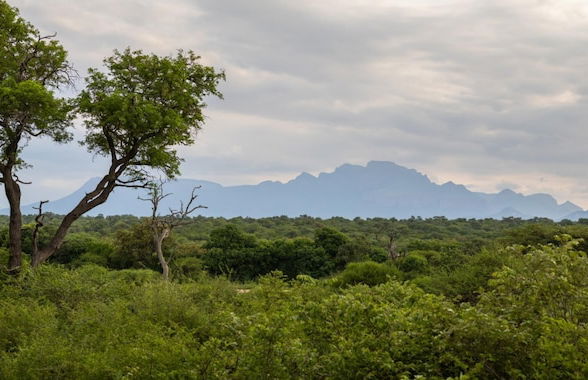 Villa Thornybush Light and Elegantly Designed Villa - Photo 2
