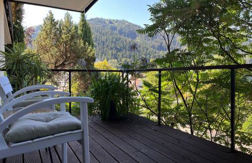 Sonnige Ferienwohnung im Kinzigtal - Foto 32