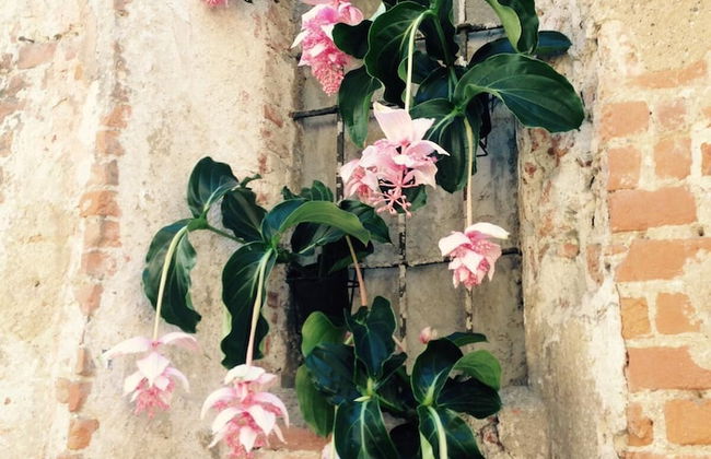 Mood Siro Comi - Foto 24