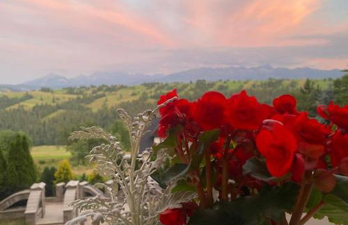 Dom Tatrzański Widok - Foto 52