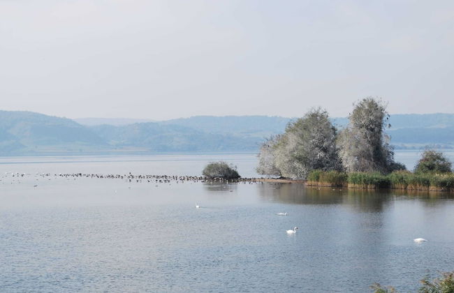 Chic Apartment in Thuringia With Sauna - Foto 65