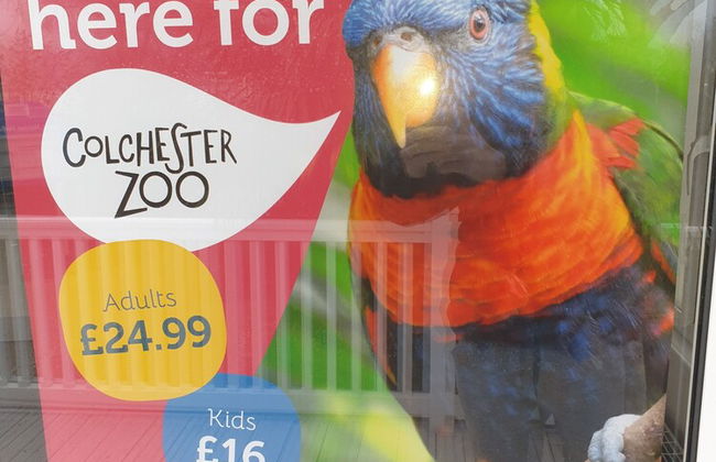 3-bed Caravan in Walton on the Naze - Photo 18