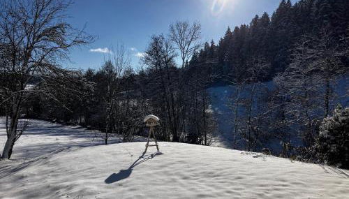 Ferienwohnung am Leinbach, nahe Freudenstadt - Foto 3