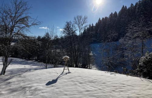 Ferienwohnung am Leinbach, nahe Freudenstadt - Photo 3