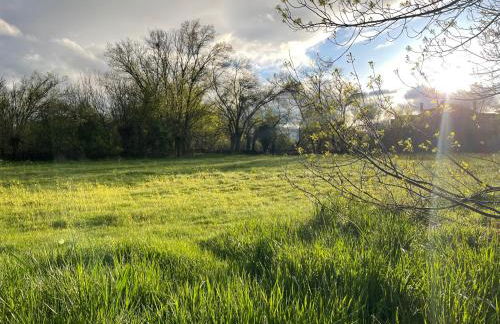 Agroturismo El Mirador de la Cigüeña - Foto 62
